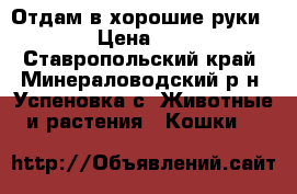 Отдам в хорошие руки  › Цена ­ 0 - Ставропольский край, Минераловодский р-н, Успеновка с. Животные и растения » Кошки   